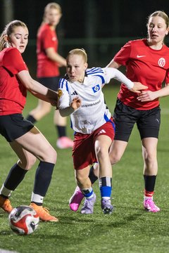 Bild 383 - wBJ Hamburger SV - Eimsbuettler TV 2 : Ergebnis: 16:0